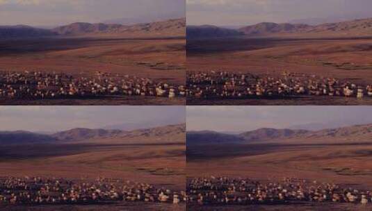 新疆 盆地 山脚下的牛群羊群 远景高清在线视频素材下载