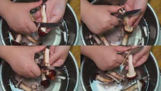 清洗松茸切松茸片洗蘑菇切蘑菇高清在线视频素材下载