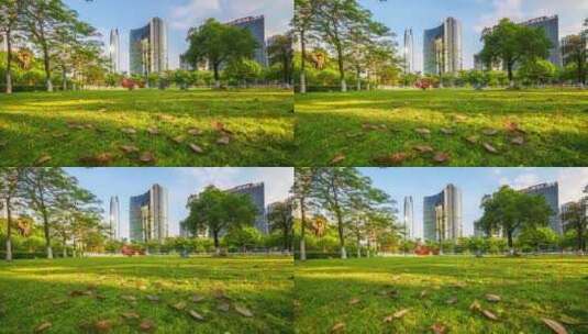 东莞市中心公园城市风光延时高清在线视频素材下载