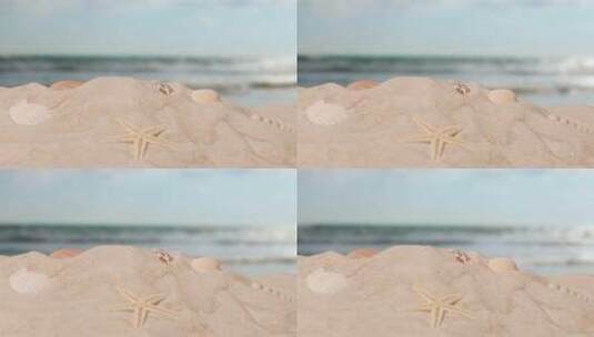 夏季度假概念沙滩上的海星贝壳高清在线视频素材下载