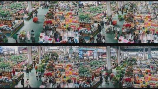 昆明斗南花卉市场延时摄影高清在线视频素材下载