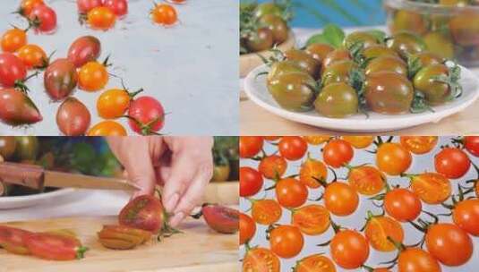 铁皮小番茄高清在线视频素材下载
