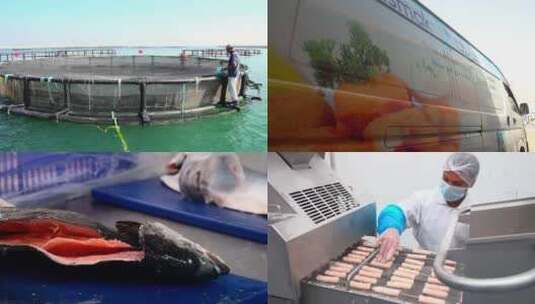 国际 养鱼 水产 加工 企业 宣传片高清在线视频素材下载