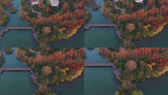 杭州西湖杨公堤浴鹄湾清晨光影秋色航拍高清在线视频素材下载