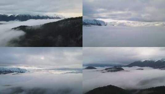 山顶云海翻滚雪山山脊森林云雾翻滚高清在线视频素材下载