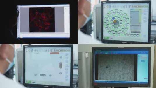 医学实验工作人员观察中画面高清在线视频素材下载