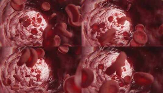 健康血液流经动脉的3D动画高清在线视频素材下载