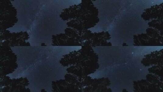 树林仰望星空银河夜空延时高清在线视频素材下载