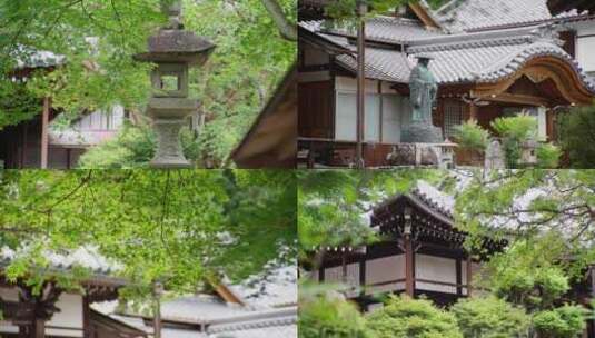 绿意盎然的寺庙 佛寺 日本神社高清在线视频素材下载