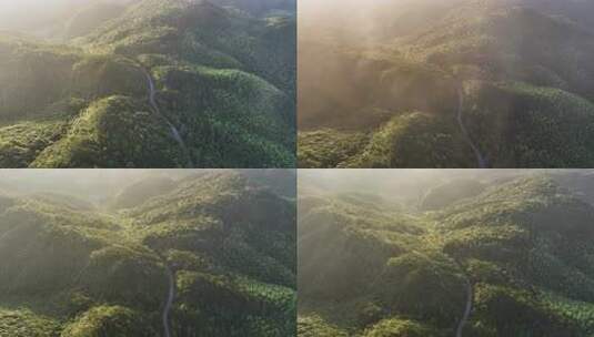 美丽乡村早清晨穿云雾森林盘山公路航拍山间高清在线视频素材下载