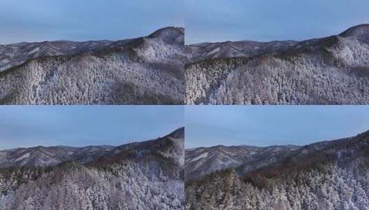 航拍东北下暴雪林海雪原威虎山高清在线视频素材下载