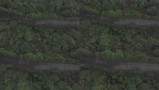 信宜云开山大雾岭云海航拍高清在线视频素材下载