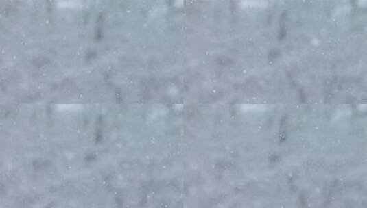 飘落的雪花自然景象雪天下雪大雪中雪小雪高清在线视频素材下载