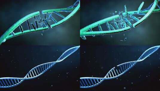 DNA断裂与修复高清在线视频素材下载
