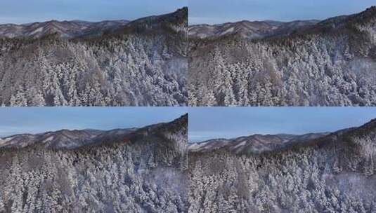 航拍东北下暴雪林海雪原威虎山高清在线视频素材下载