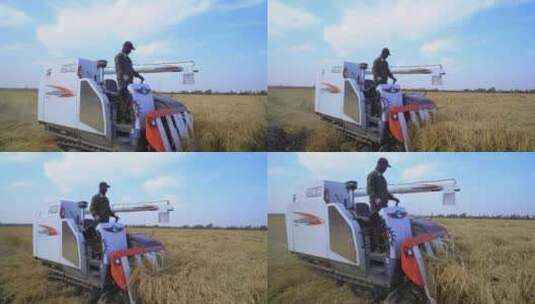 农田水稻收割高清在线视频素材下载