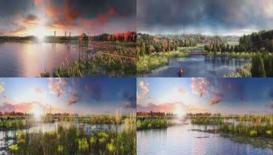 湿地公园绿色生态环境白鹭飞鸟白鹤动画高清在线视频素材下载
