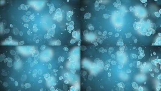 唯美蓝色牡丹花粒子背景视频高清在线视频素材下载