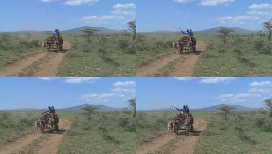 一辆载着骑手的马车在东非的一条土路上行驶高清在线视频素材下载