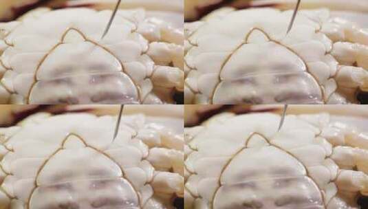 蟹脐特写螃蟹腹部高清在线视频素材下载