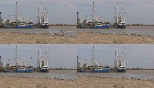 捕虾船和飞鸟景观高清在线视频素材下载