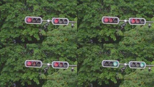 城市交通信号灯红绿灯高清在线视频素材下载