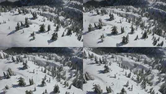 在加拿大的雪地上滑雪高清在线视频素材下载