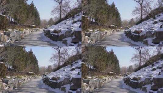 雪松冰雪下雪雪后冬季圆明园 ~高清在线视频素材下载