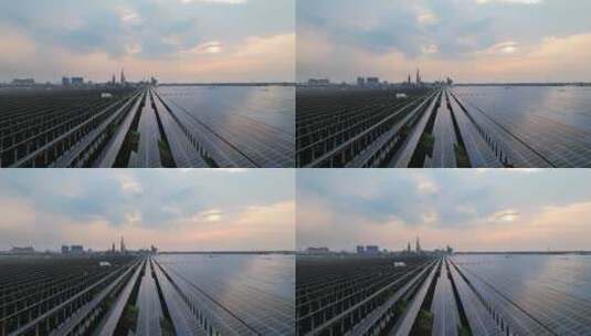 农田上的光伏太阳能发电夕阳下航拍高清在线视频素材下载