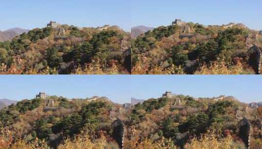 北京怀柔慕田峪长城的秋色高清在线视频素材下载