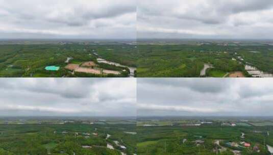 上海海湾国家森林公园航拍5高清在线视频素材下载