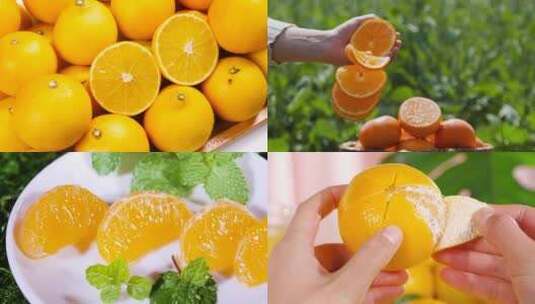 新鲜柑橘高清在线视频素材下载