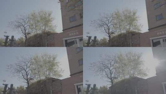 北京798艺术区高清在线视频素材下载