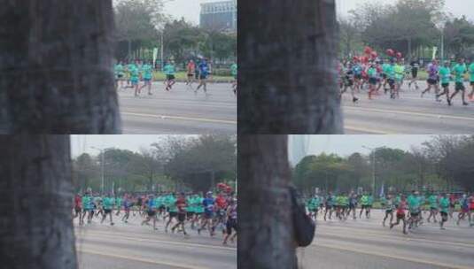 深圳马拉松运动跑步的人高清在线视频素材下载