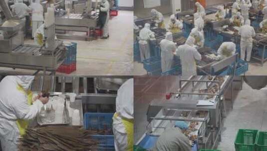 速冻粽子速冻食品生产线 流水线工厂 加工高清在线视频素材下载