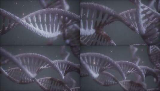 dna链的双螺旋结构特写动画高清在线视频素材下载