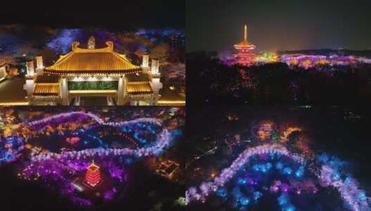 武汉东湖樱花园夜景高清在线视频素材下载