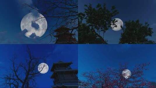 深夜月上树梢延时摄影高清在线视频素材下载
