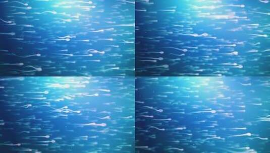 动画精子细胞游泳视频4K高清在线视频素材下载