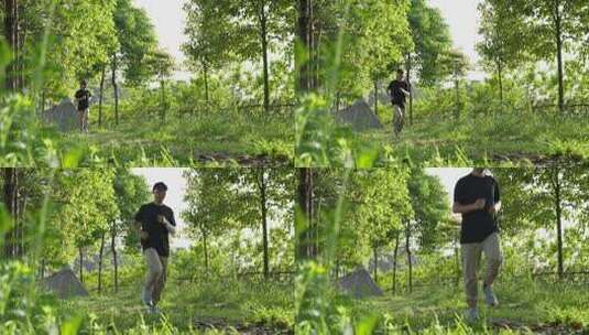 夏日清晨阳关里山林小道跑步健身运动的男人高清在线视频素材下载