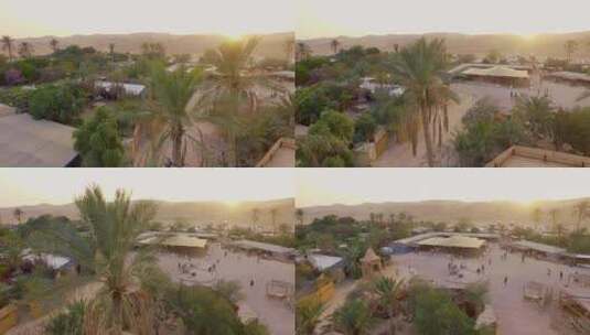 沙漠中的幸福村，日落时棕榈树，人们走过高清在线视频素材下载