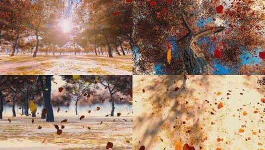 深秋落叶从树上飘落高清在线视频素材下载