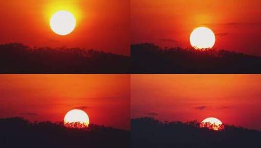 树林日落延时唯美太阳森林夕阳红色天空风景高清在线视频素材下载