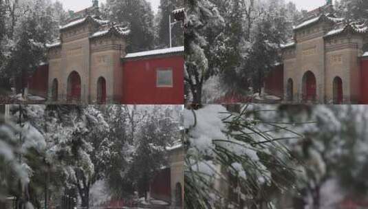 护国兴教寺雪景 寺院  唐三藏寺院高清在线视频素材下载