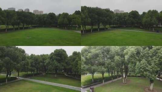 公园草坪、树木空镜高清在线视频素材下载