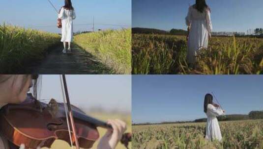 麦田里白裙子美女拉小提琴日系唯美丰收麦穗高清在线视频素材下载