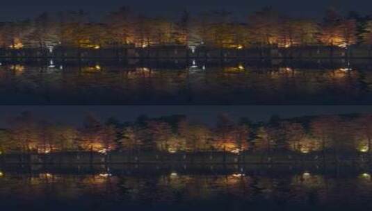 佛山千灯湖南海活水公园落羽杉夜景灯光高清在线视频素材下载