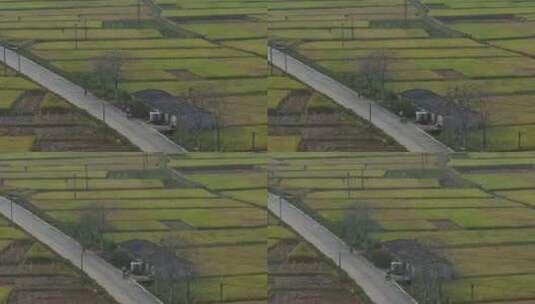 信宜北界稻田丰收，稻谷收割航拍高清在线视频素材下载