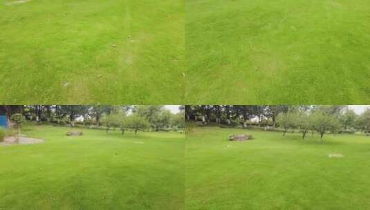 城市公园草丛草坪运镜空镜头高清在线视频素材下载