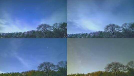 夜晚山林树木星空流星延时高清在线视频素材下载